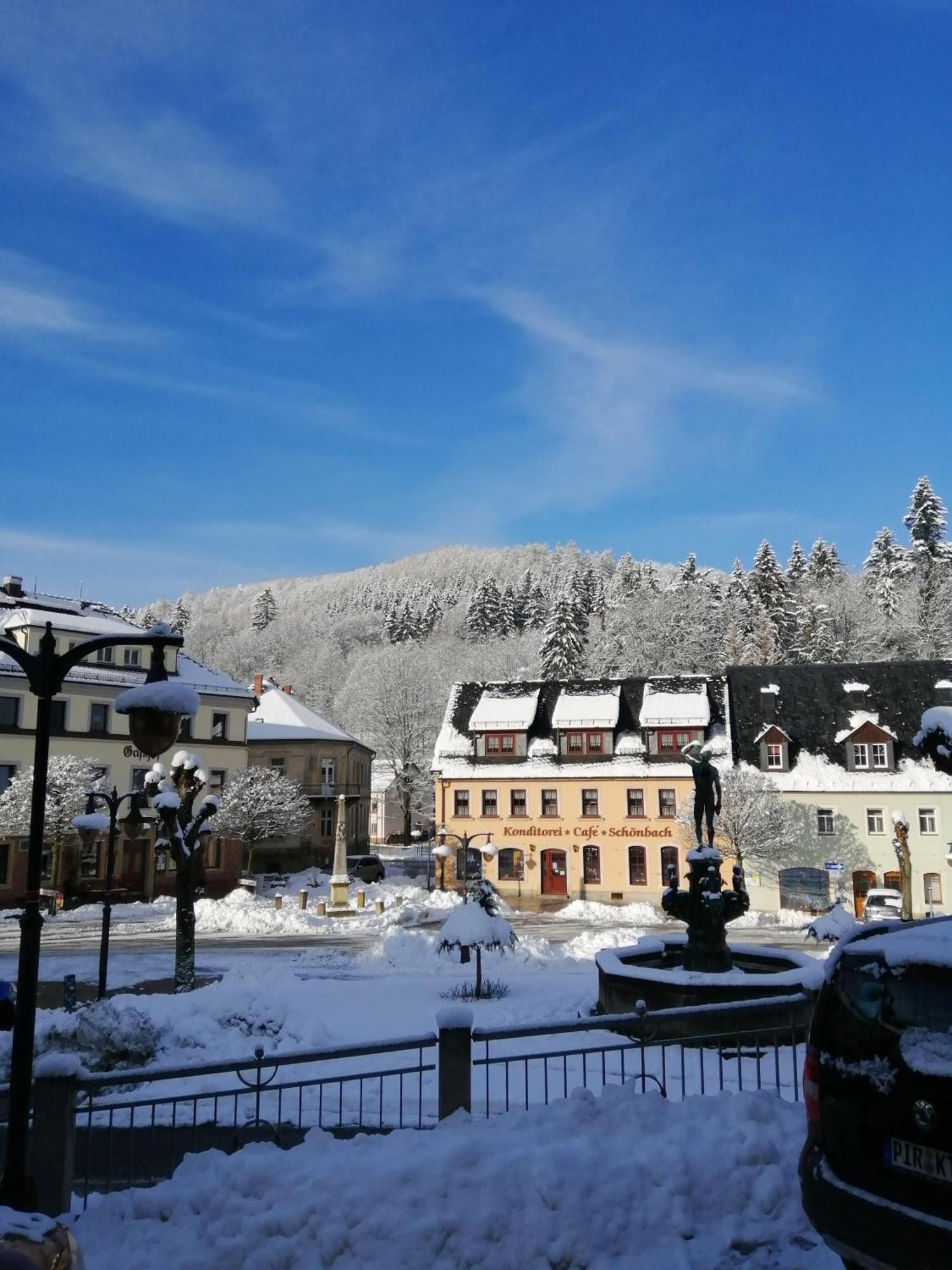 Apartment Am Markt 4 Bad Gottleuba-Berggiesshuebel Экстерьер фото